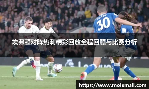 埃弗顿对阵热刺精彩回放全程回顾与比赛分析